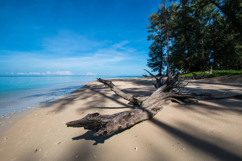 Nai Yang Beach · neighbourhood